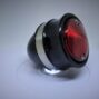 black-vintage-tail-light-harley-hollister
