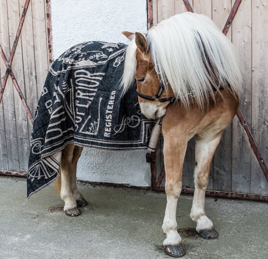 couverture-mexicaine-moto (2) couverture-mexicaine-pike-brothers