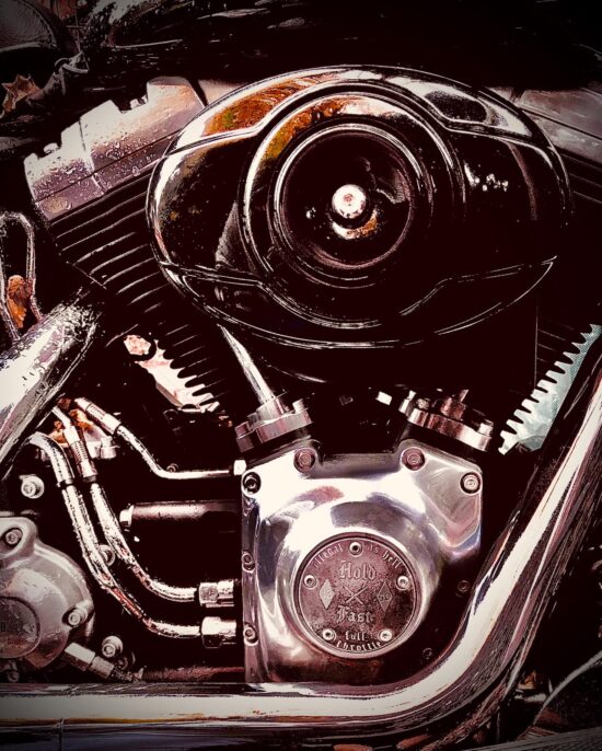 Point cover holdfast (2) Twin Cam 96B-pointcover-harleydavison-softtail