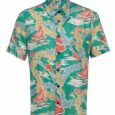 Chemise Pike Brothers 1937 Roamer Short Sleeve Hapuna Green - vue face