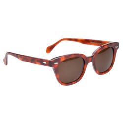 Sun Glasses Elwood Brick Pike Brothers — lunettes de soleil vintage, vue de trois quarts Sun Glasses Elwood Brick Pike Brothers — lunettes de soleil vintage, vue de trois quarts
